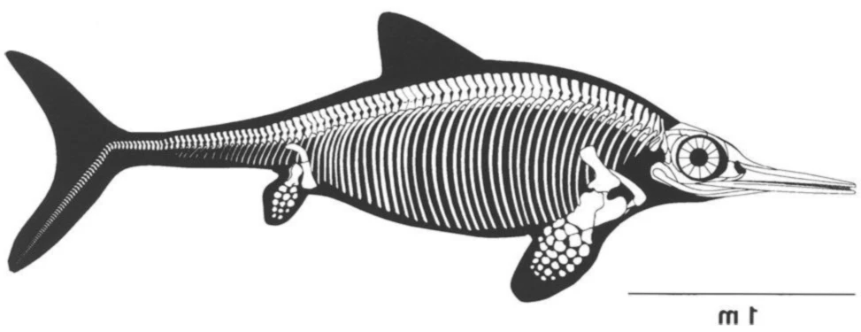 Banner image of Trilobites of Norway