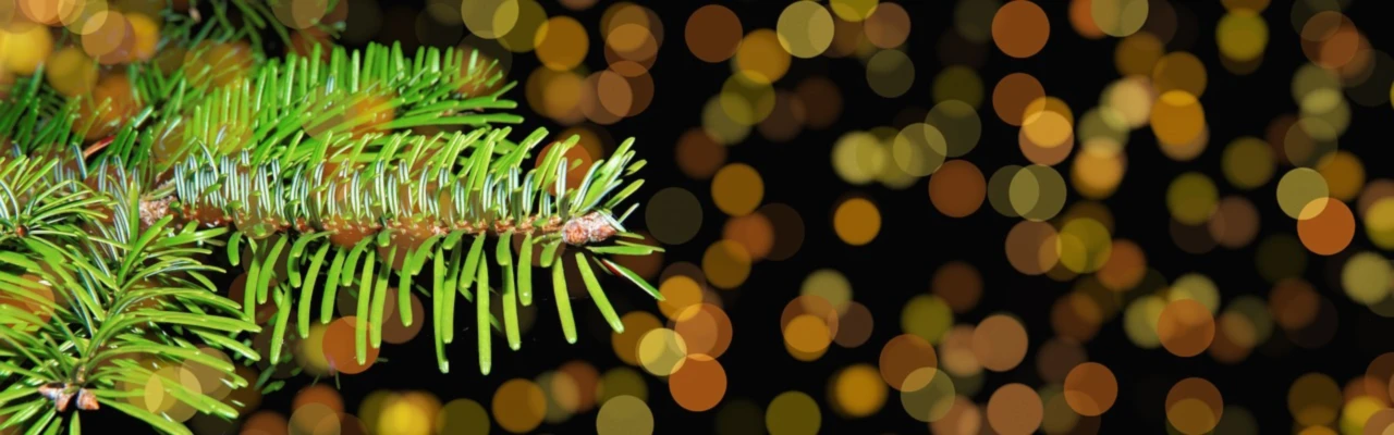 Banner image of Flavourista