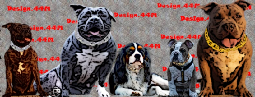 Bannière de CC.Performeurs.