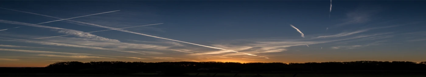 Banner image of Glenn Collyns