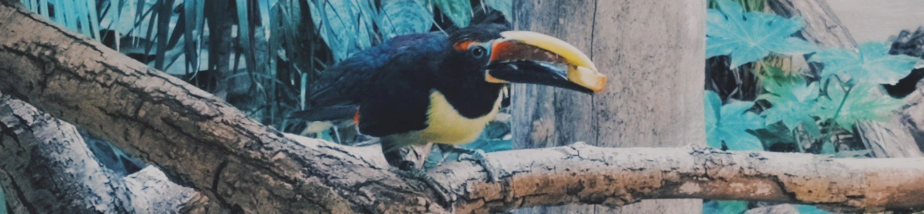 Banner image of Lealinchen