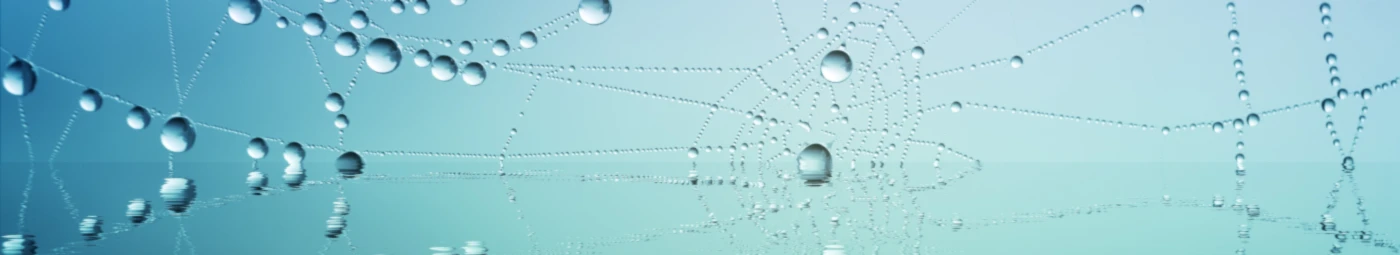 Bannerbild von Millennial