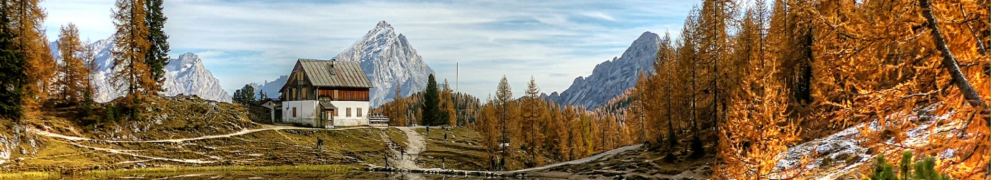 Banner image of Hermanns