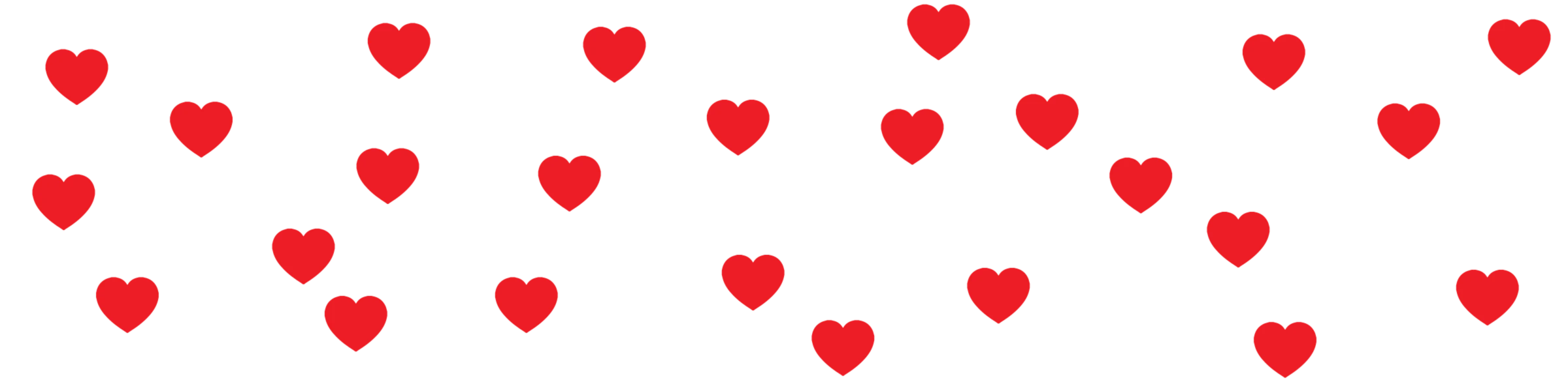 Bannerbild von Karpatenwilli