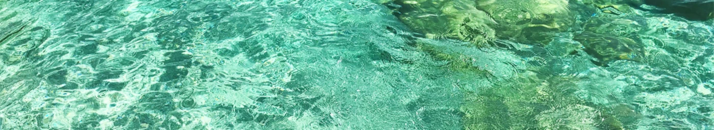 Banner image of nenski