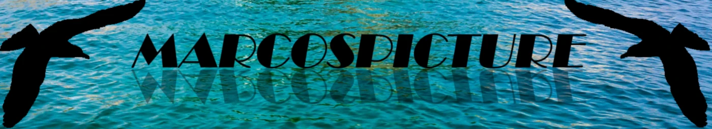 Bannerbild von Marcospicture