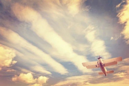 Banner image of Monika Zgolka