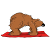 yoga-zoo