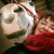 GreyhoRse