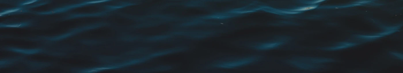 Banner image of vibebeast06