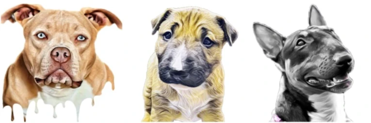 Bannerbild von DianaS.AnimalArt.