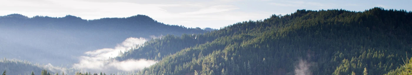 Banner image of DasOrginal