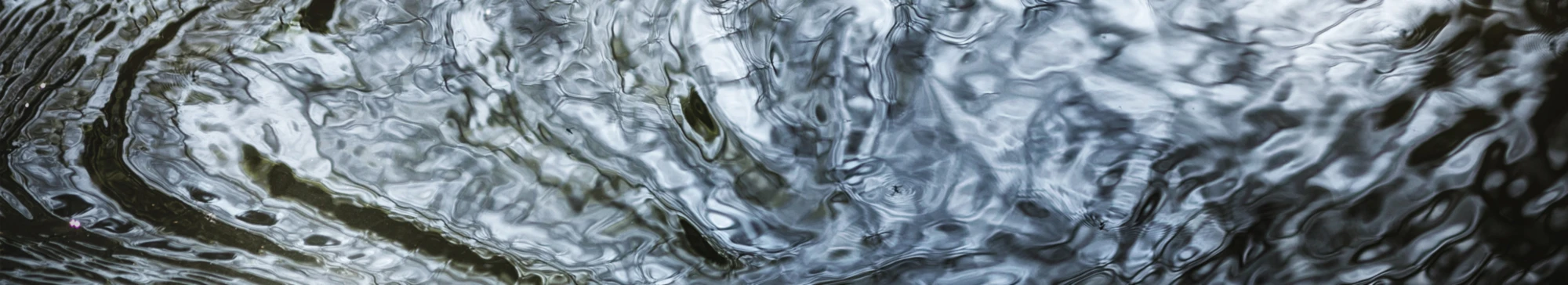 Banner image of intuitivmedia