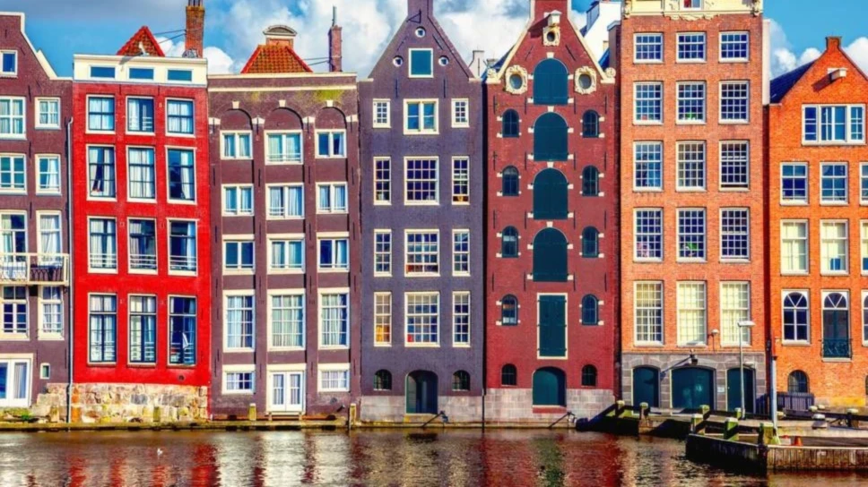 Banner image of New-Amsterdam