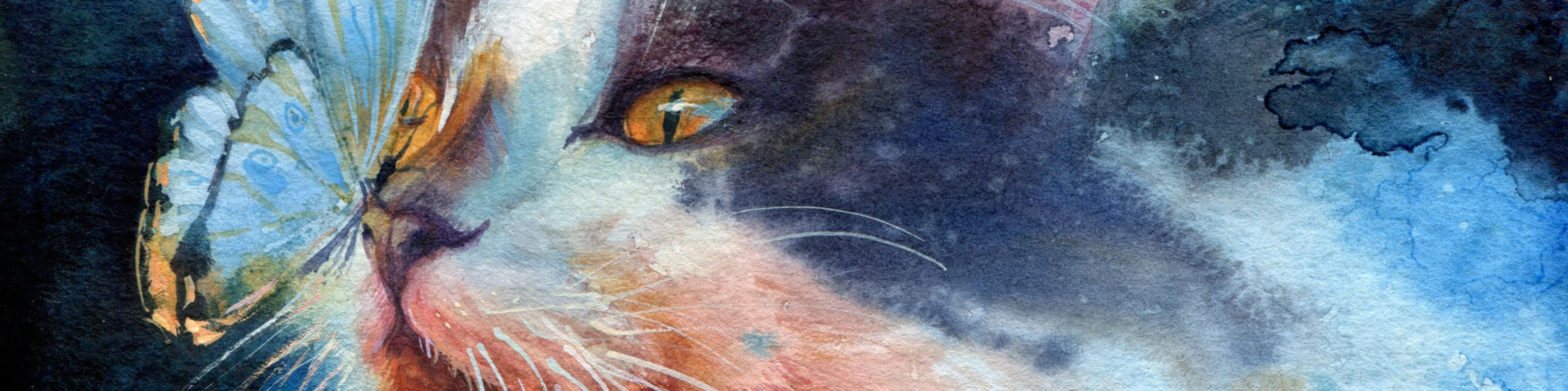 Banner image of jennomat1979