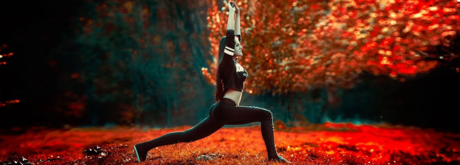 Banner image of The Second Skin