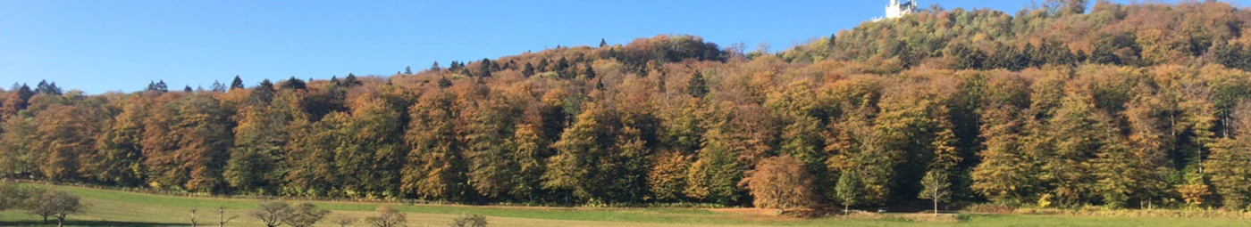 Banner image of DeltaDesigns