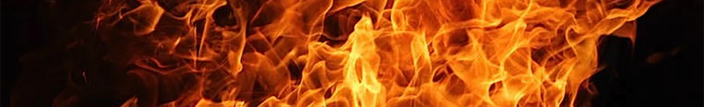 Banner image of WeeWillWear