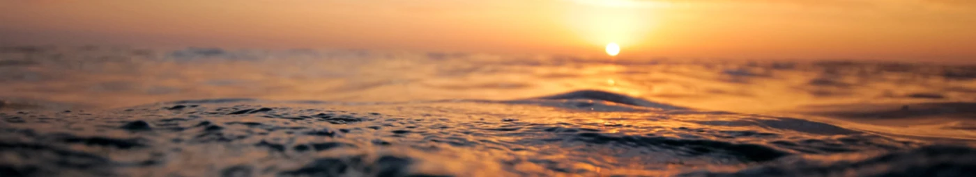 Banner image of Teelates