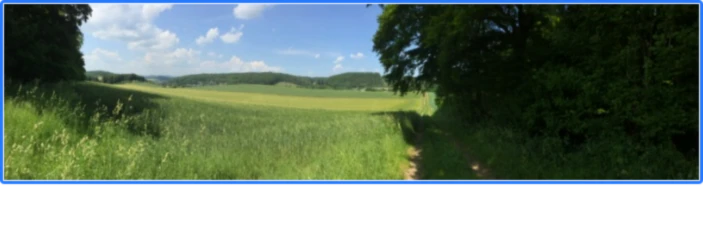 Banner image of Estilo Libre