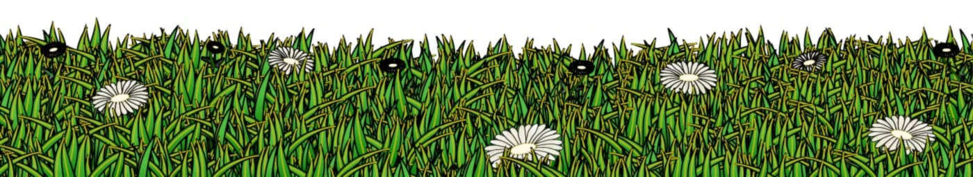 Banner image of TH BIG Designs