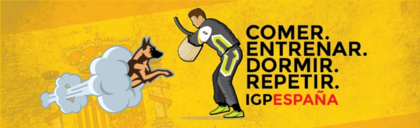 Banner image of Ariston