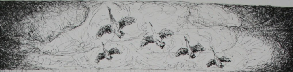 Banner image of Schwandler