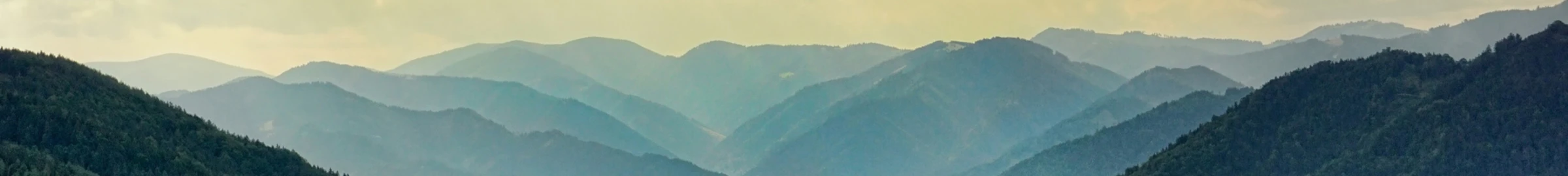 Banner image of Starsbuy