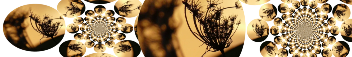 Bannerbild von Under The Roof