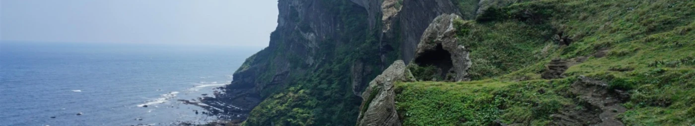 Bannerbild von 116447010