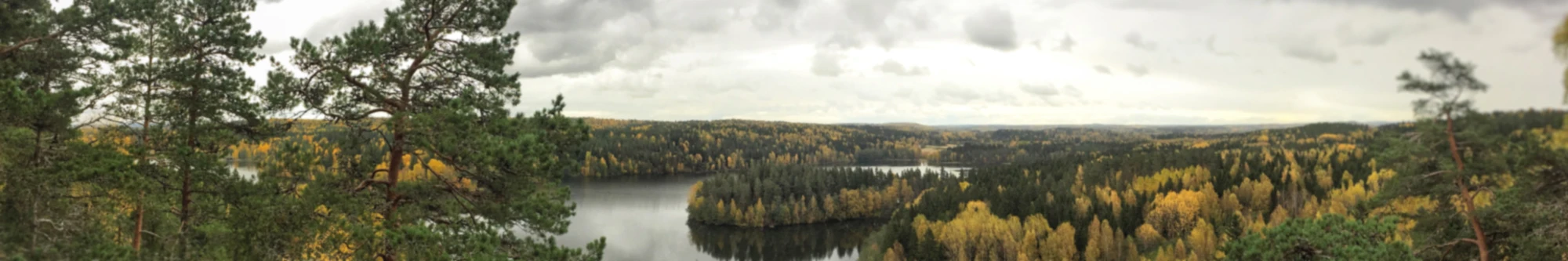 Banner image of Maladesign