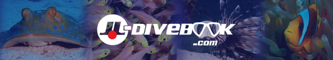 Banner image of jl-divebook