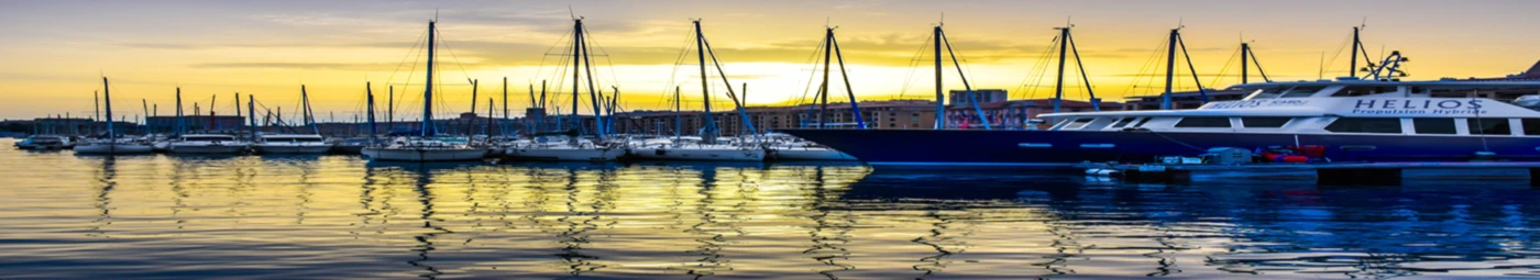 Banner image of ILoveAnimals