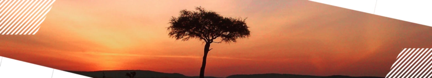 Banner image of H.KOENIG