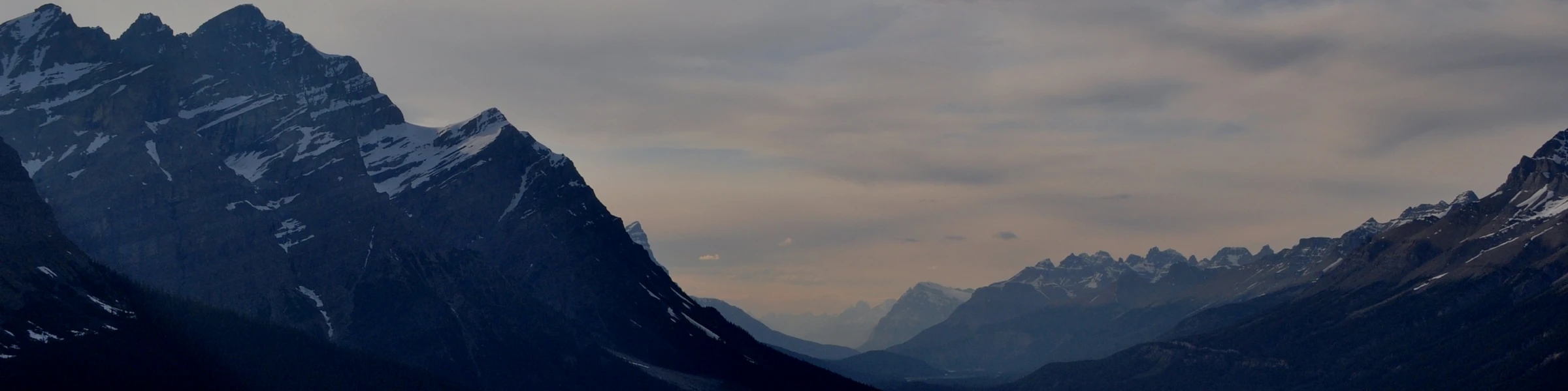 Banner image of TRUSTTHEPROCESS