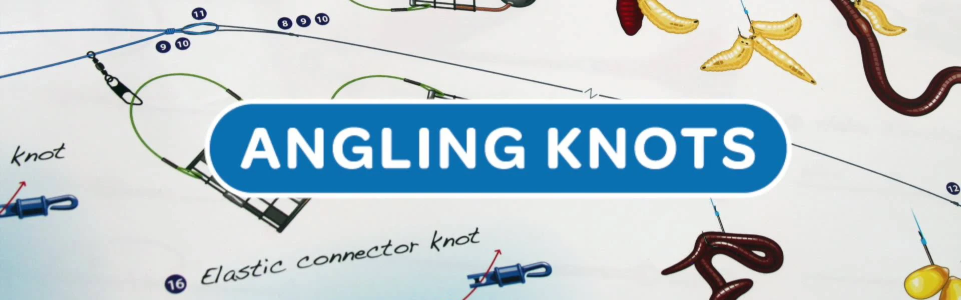 Banner image of Andy Steer