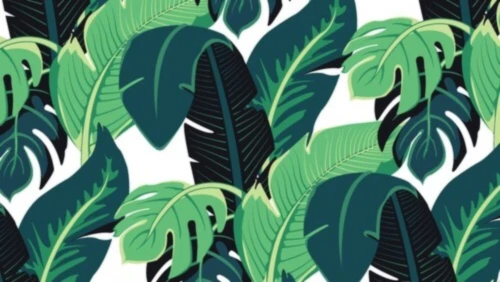 Banner image of santiago rico sanchez