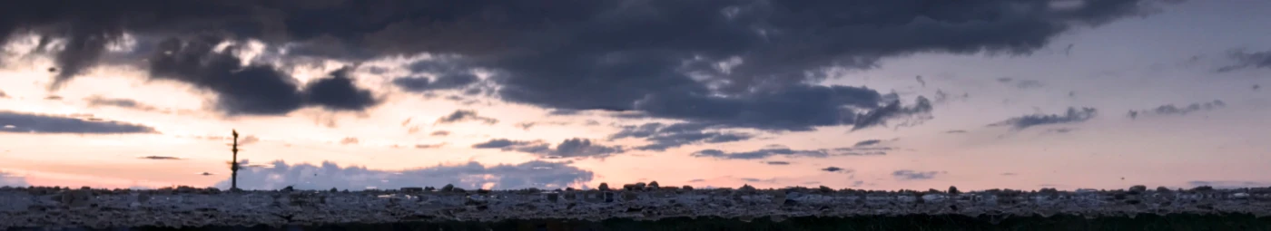 Banner image of designs by foegi