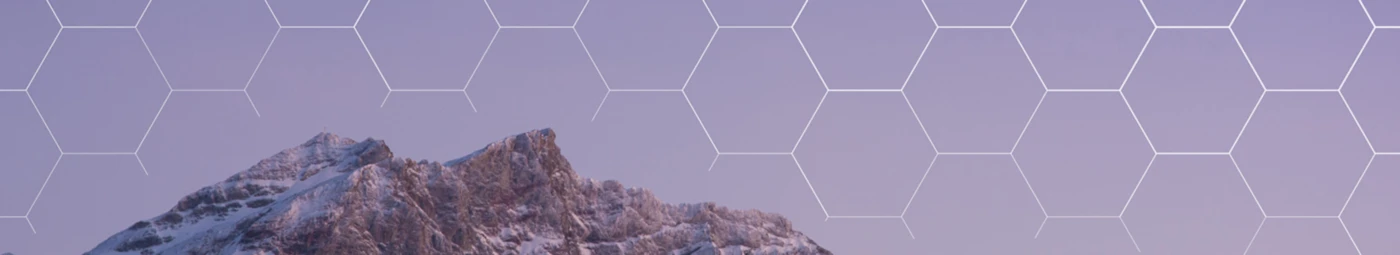 Banner image of bonek