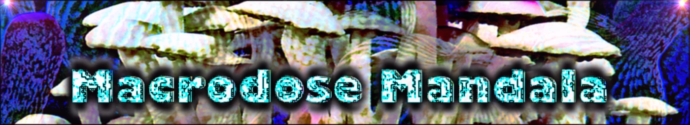 Banner image of 116689026