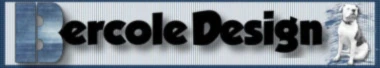 Bannerbild von Bercole Design