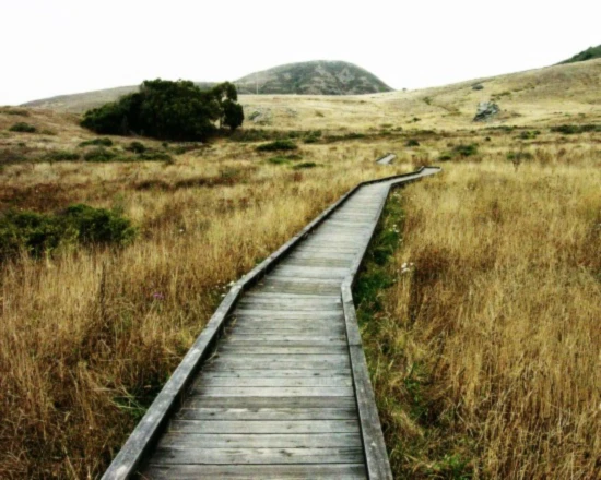 Banner image of EL LI