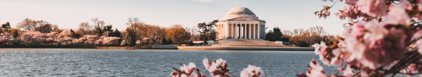 Bannerbild von Ninchenn