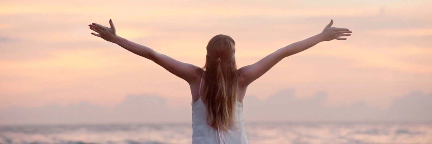 Banner image of WallyJay