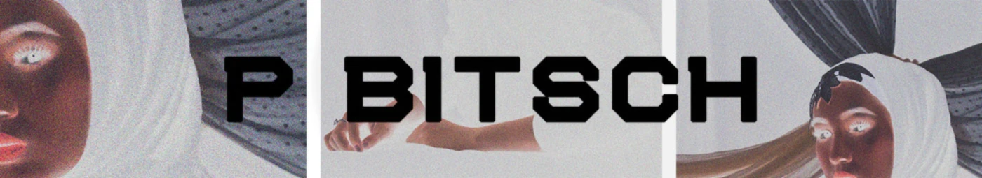 Bannière de P BITSCH