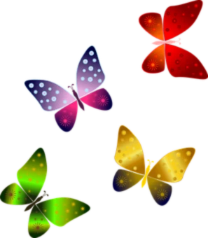 Banner image of Designsbyjula