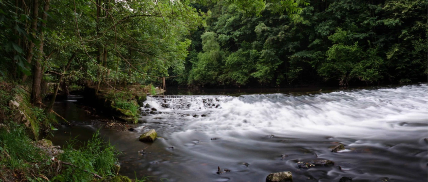 Bannerbild von Mike1992