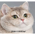 hefty.cat