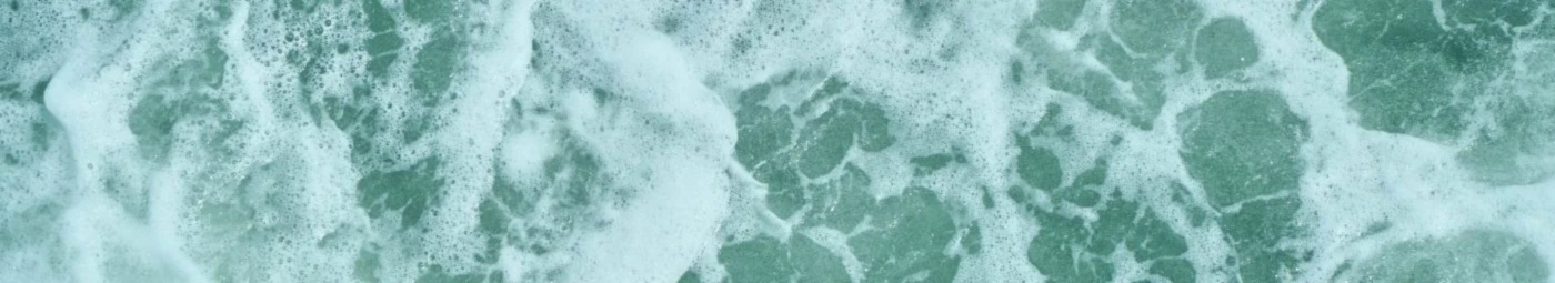 Banner image of Jenmag