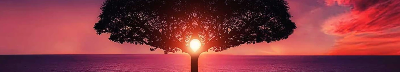 Banner image of Khailli